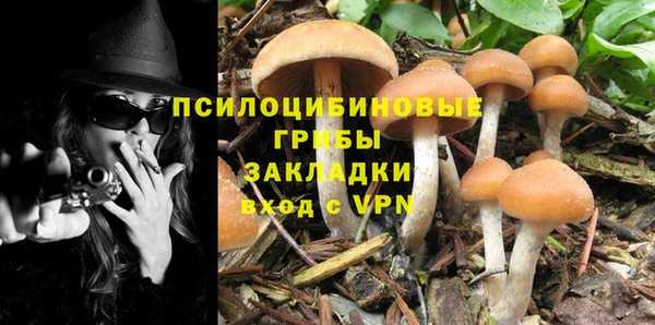 MDMA Premium VHQ Аркадак